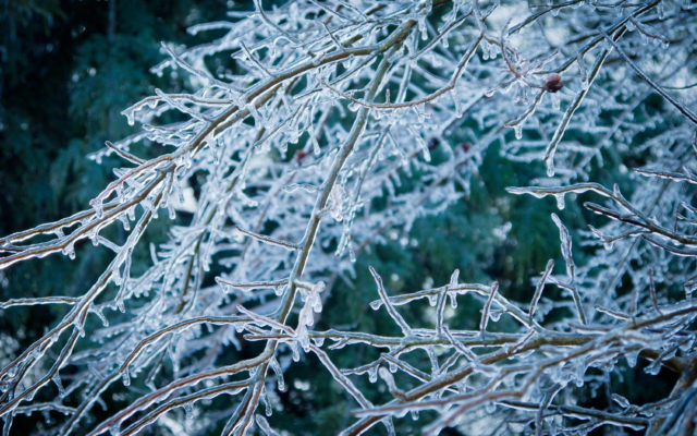 Frost Laws Go Into Effect for Southern Michigan Starting Monday