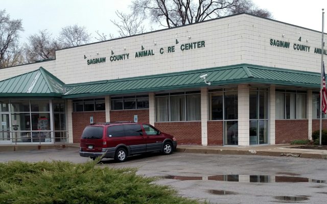 Saginaw County to Decide Animal Control Center Location