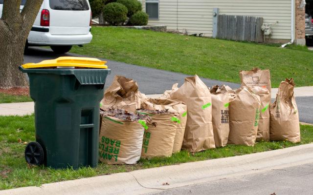 Bay City and Saginaw to Resume Yard Waste Collection