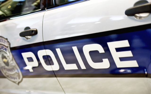 Police Identify Man in Isabella County Crash