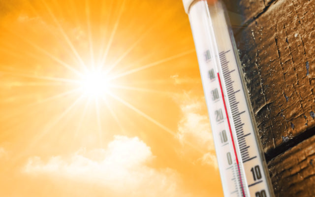 Michiganders Urged To Take Precautions As Temperatures Climb