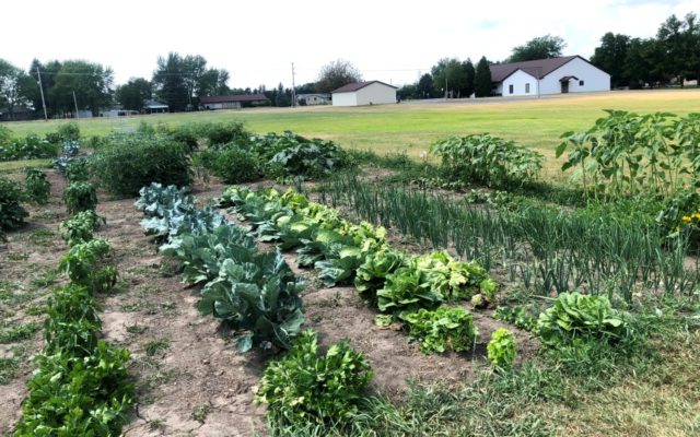 Community Garden Encourages Healthy Lifestyles