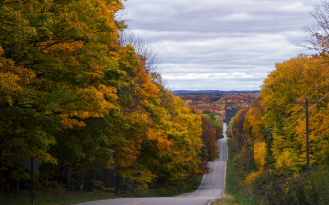 County Road Agencies Release 2020 “Don’t Miss” List of Local Roads for Fall Colors
