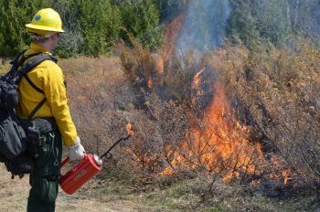 DNR Conducting Prescribed Burns Statewide