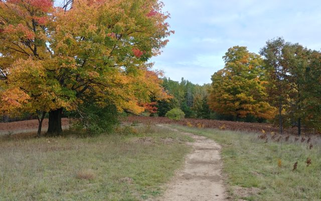 Little Forks Conservancy to Add New Preserve