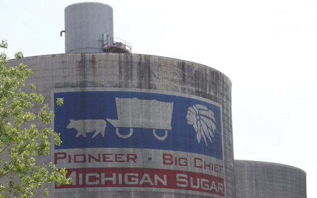 Michigan Sugar Expects Record Crop as Full Beet Harvest Begins