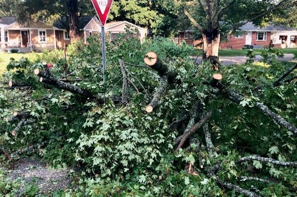 Consumers In the Process of Restoring Power to Michigan Homes and Businesses Following Overnight Storm