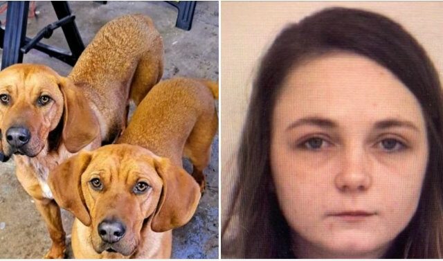 Woman Accused of Torturing and Killing Dogs Must Undergo Competency Exam