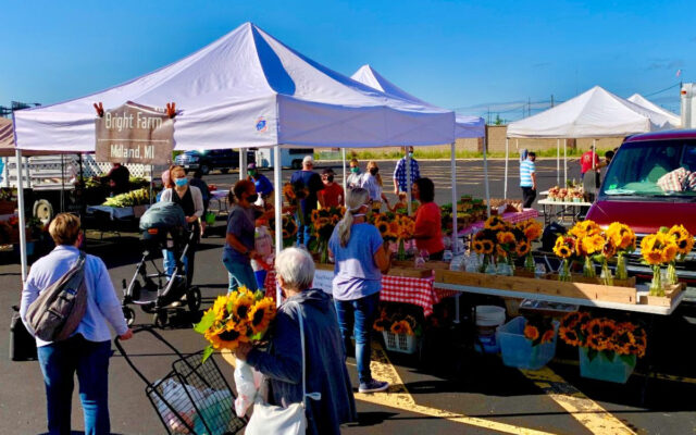 Midland Area Farmers Market Opening This Weekend