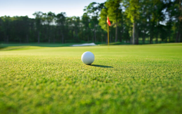 Thomas Township Police Seeking Golf Course Vandals