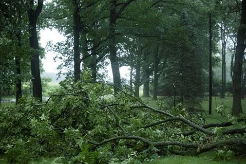Consumers Energy Restores Power to Over 32,000 Customers After Severe Storms Hit Michigan