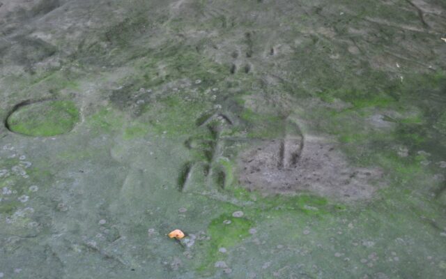 Feedback Sought on Sanilac Petroglyph Park
