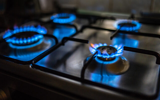 WSGW OnLine Poll:   Banning Gas Stoves  (results)