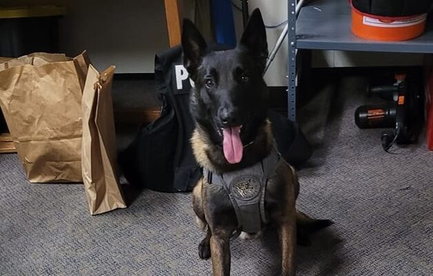 Saginaw Police K-9 Sniffs out Suspected Drugs, Aids in Burglary Call