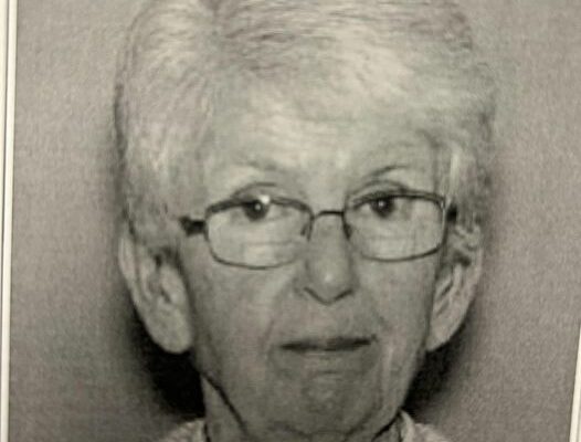 Police: Missing Rochester Woman May be in Huron County Area