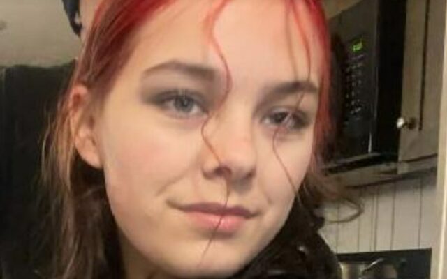 Authorities Looking for Missing Isabella County Teen